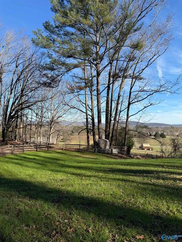 226 - B Walter Bird Drive, Owens Cross Roads, AL 35763