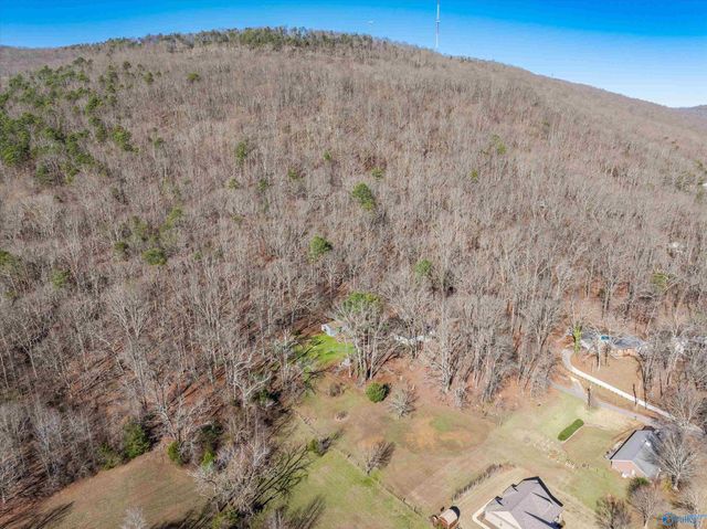 226 - B Walter Bird Drive, Owens Cross Roads, AL 35763