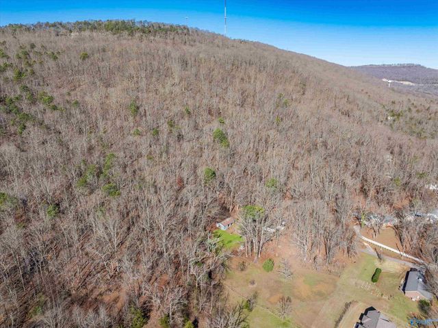 226 - B Walter Bird Drive, Owens Cross Roads, AL 35763