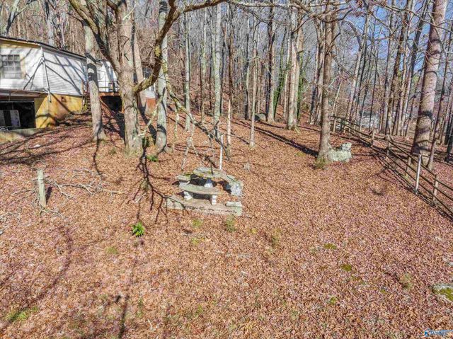 226 - B Walter Bird Drive, Owens Cross Roads, AL 35763