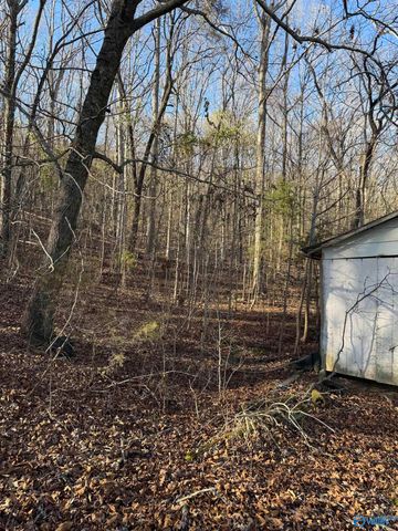 226 - B Walter Bird Drive, Owens Cross Roads, AL 35763