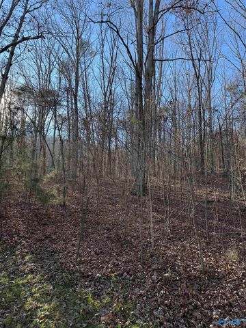 226 - B Walter Bird Drive, Owens Cross Roads, AL 35763