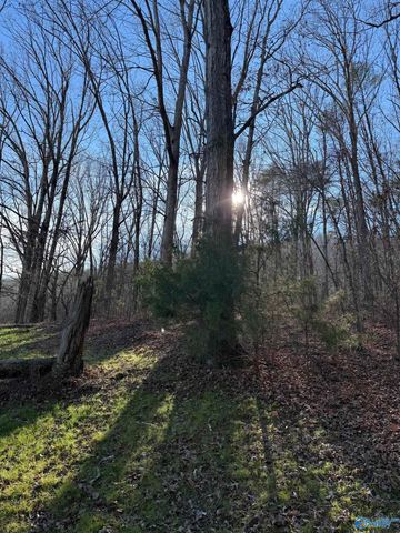 226 - B Walter Bird Drive, Owens Cross Roads, AL 35763