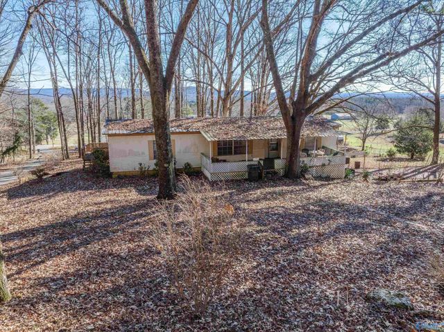 226 - B Walter Bird Drive, Owens Cross Roads, AL 35763
