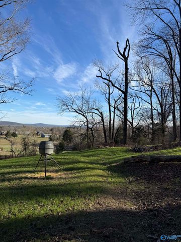 226 - B Walter Bird Drive, Owens Cross Roads, AL 35763