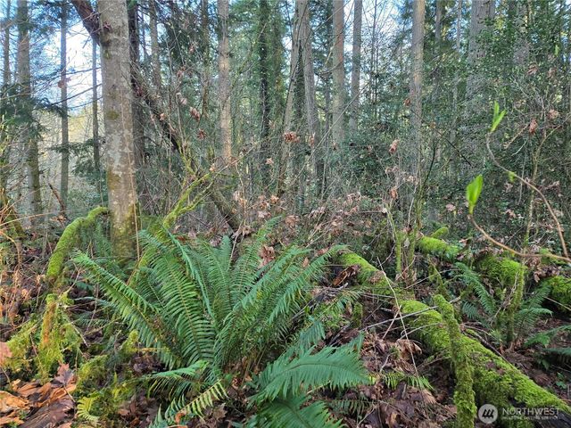 233 XX State Highway 3 NW, Poulsbo, WA 98370