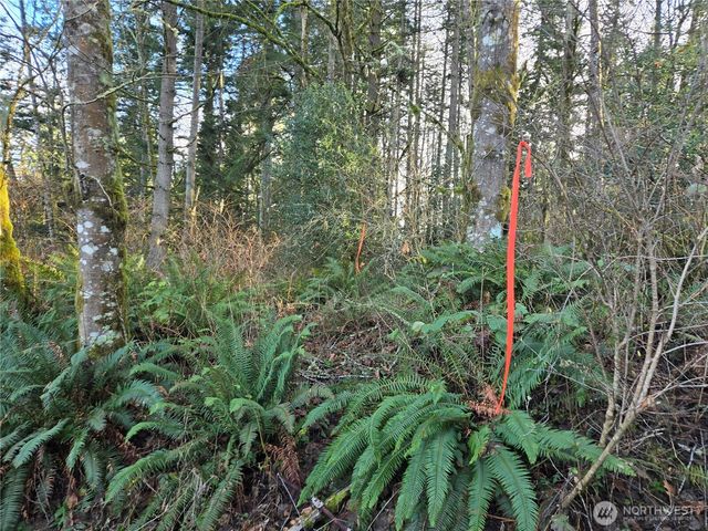 233 XX State Highway 3 NW, Poulsbo, WA 98370