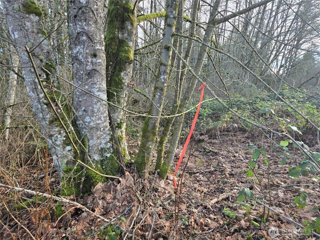 233 XX State Highway 3 NW, Poulsbo, WA 98370