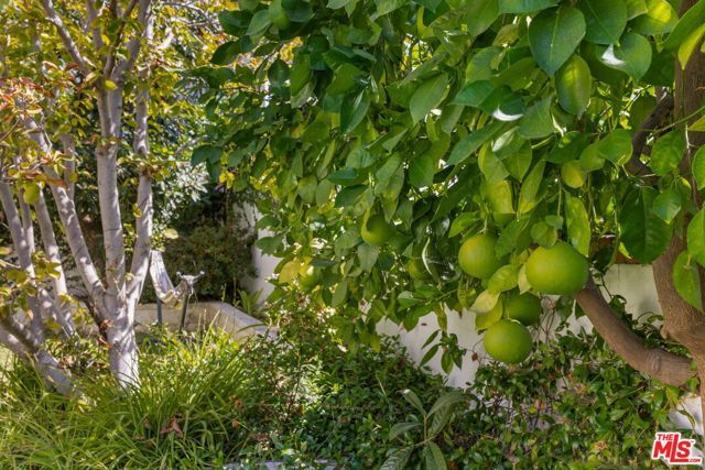 1007 Matilija Rd, Glendale, CA 91202