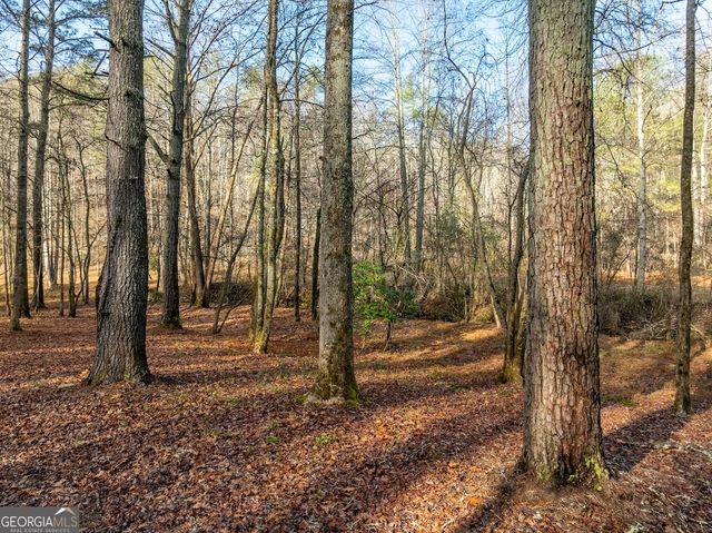 894 Hap Holt Road, Ellijay, GA 30540