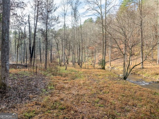 894 Hap Holt Road, Ellijay, GA 30540
