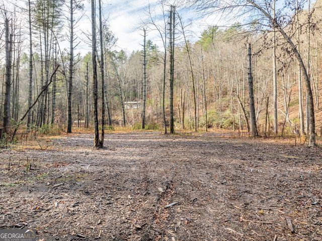 894 Hap Holt Road, Ellijay, GA 30540