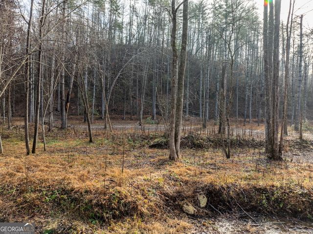 894 Hap Holt Road, Ellijay, GA 30540