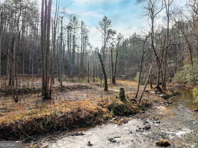 894 Hap Holt Road, Ellijay, GA 30540