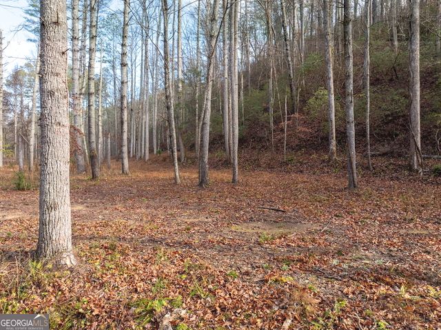 894 Hap Holt Road, Ellijay, GA 30540