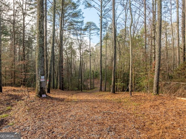 894 Hap Holt Road, Ellijay, GA 30540