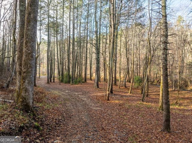 894 Hap Holt Road, Ellijay, GA 30540