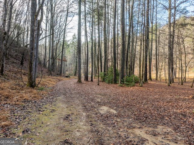 894 Hap Holt Road, Ellijay, GA 30540