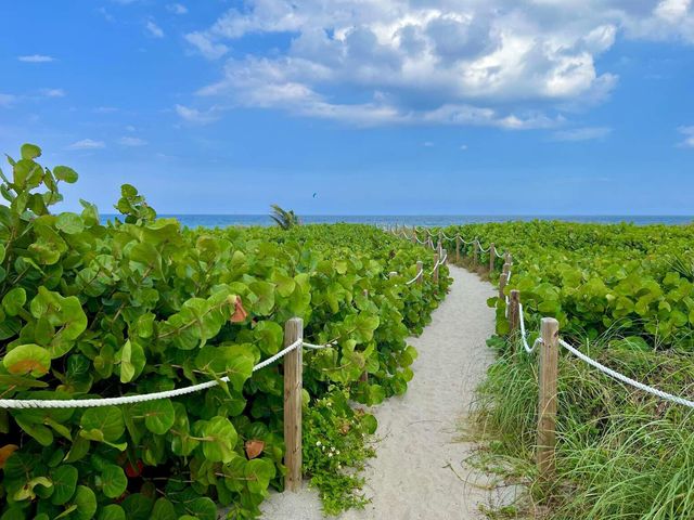 236 SE 3rd Avenue, Delray Beach, FL 33483