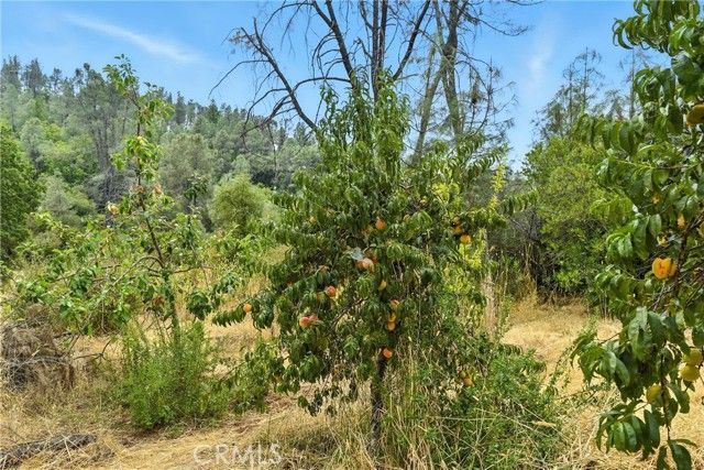 20110 Jerusalem Grade, Lower Lake, CA 95457