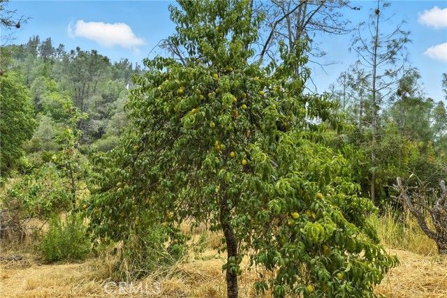 20110 Jerusalem Grade, Lower Lake, CA 95457