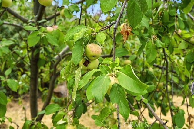 20110 Jerusalem Grade, Lower Lake, CA 95457