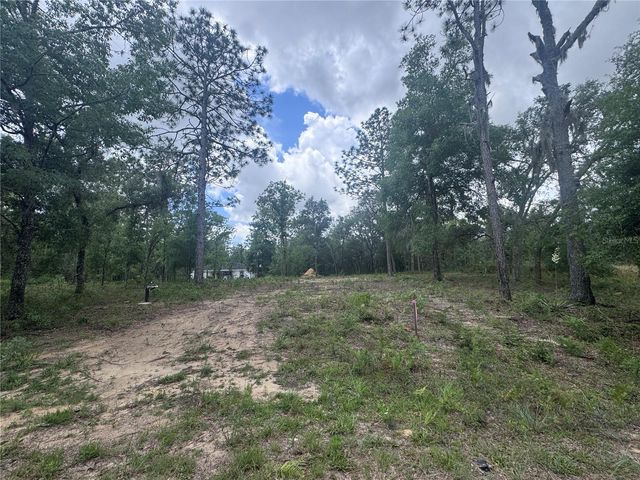 TBD NE 16TH PLACE, Williston, FL 32696