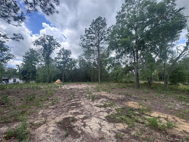 TBD NE 16TH PLACE, Williston, FL 32696