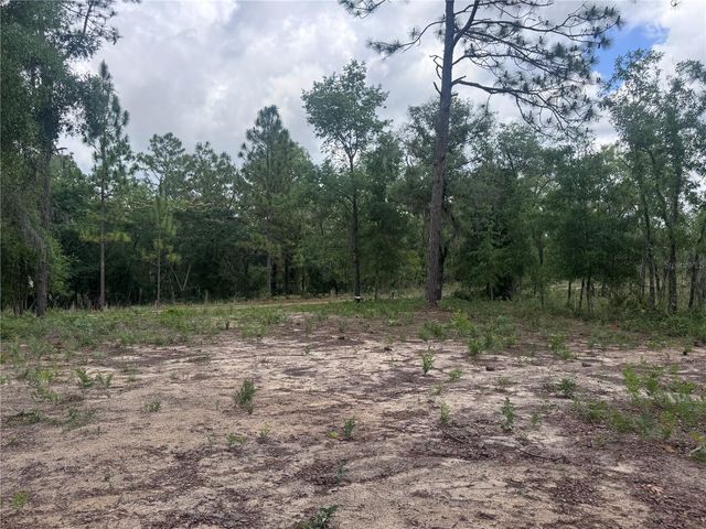 TBD NE 16TH PLACE, Williston, FL 32696