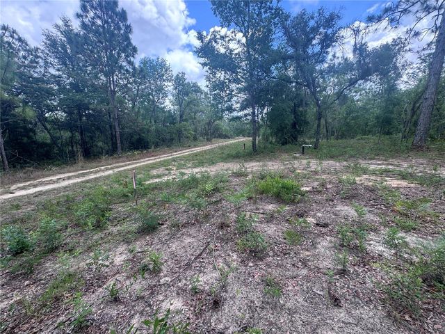 TBD NE 16TH PLACE, Williston, FL 32696