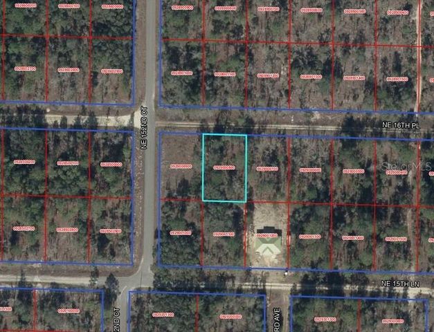 TBD NE 16TH PLACE, Williston, FL 32696