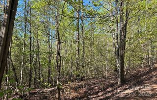 V/L #13 Deer Crossing Drive, Marion, NC 28752