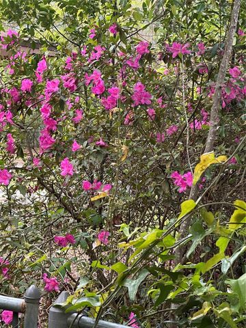 5301 NW 25TH PLACE, Gainesville, FL 32606