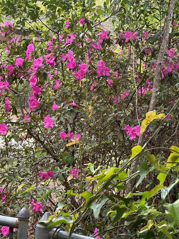 Image 25 of property listing at 5301 NW 25TH PLACE, Gainesville, FL 32606