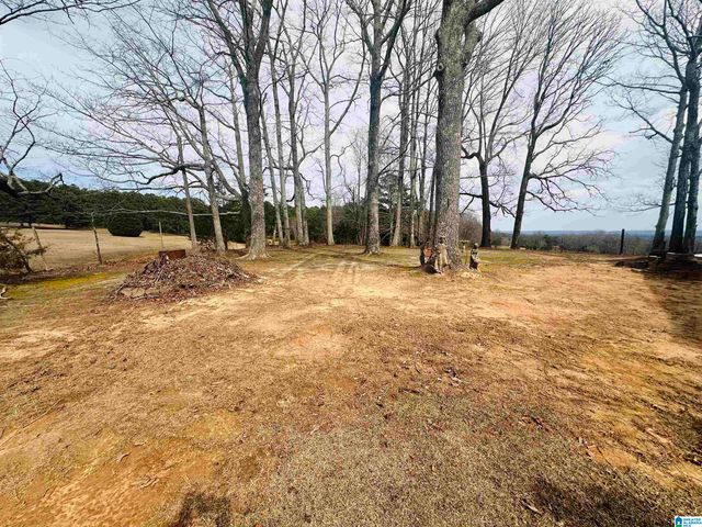 100 RIDGE LANE, Warrior, AL 35180