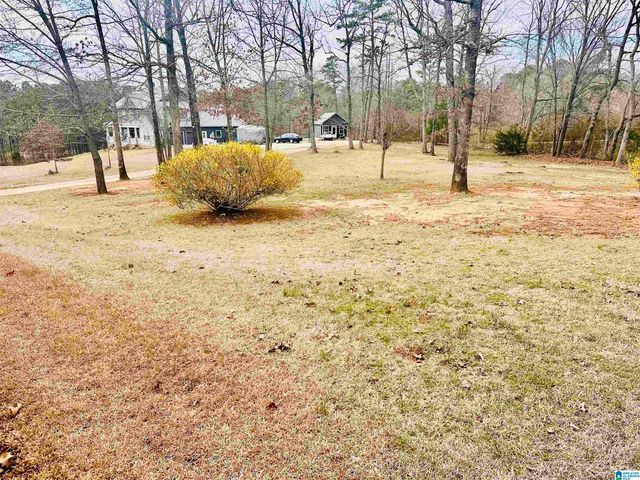 100 RIDGE LANE, Warrior, AL 35180