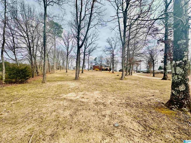 100 RIDGE LANE, Warrior, AL 35180