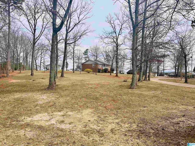 100 RIDGE LANE, Warrior, AL 35180