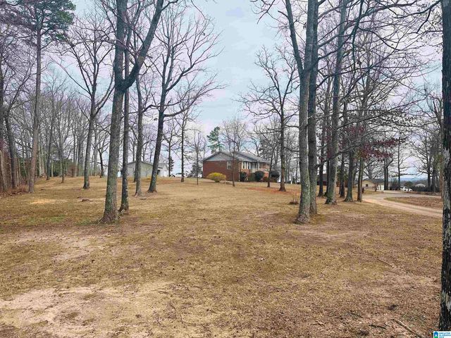 100 RIDGE LANE, Warrior, AL 35180