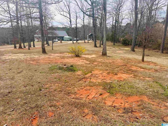 100 RIDGE LANE, Warrior, AL 35180