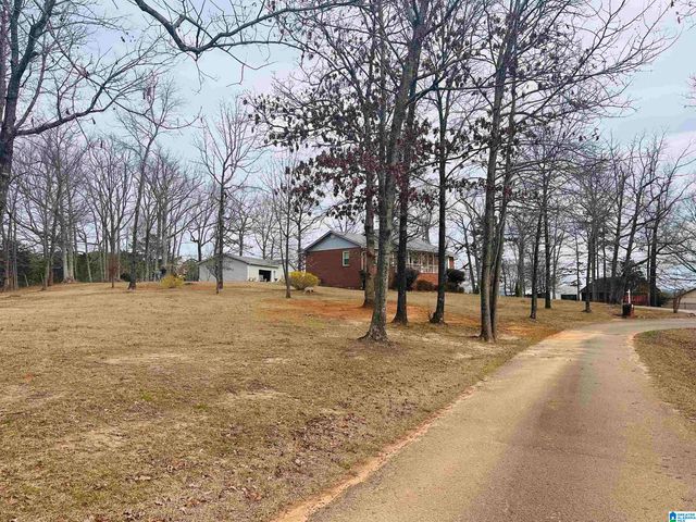 100 RIDGE LANE, Warrior, AL 35180