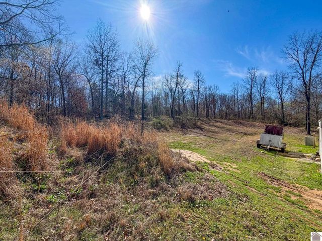 2346 Millers Chapel Rd, Mayfield, KY 42066