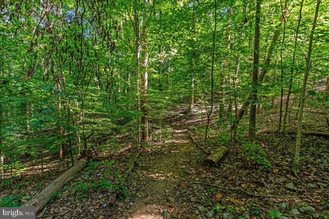 5614 NORTON RD, Alexandria, VA 22303