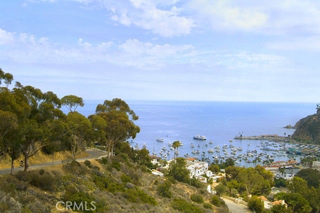 335 Clemente Avenue, Avalon, CA 90704