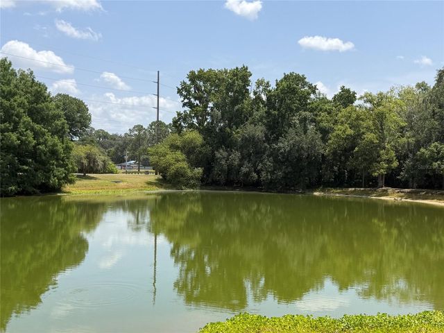 1316 SE 17TH STREET, Ocala, FL 34471