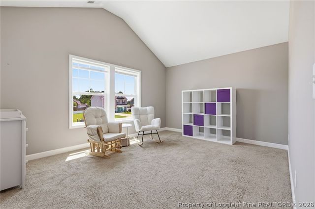 85 Race Court, Godwin, NC 28344