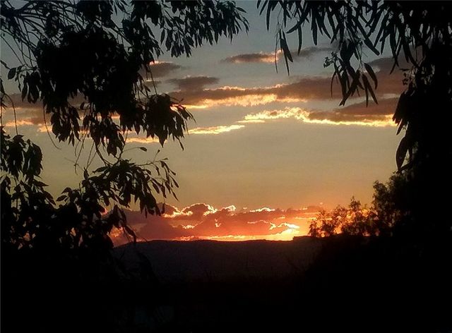 3758 W Redwall Drive, Golden Valley, AZ 86413