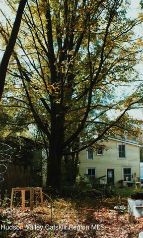 564 Main St Street, Cairo, NY 12413