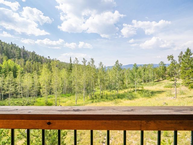 62 Algonkin Ct, Red Feather Lakes, CO 80545