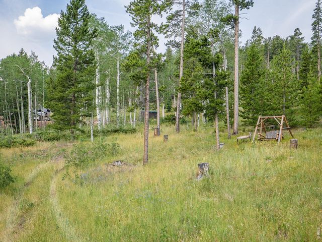 62 Algonkin Ct, Red Feather Lakes, CO 80545